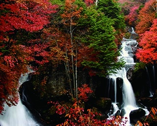 竜頭ノ滝の紅葉 栃木県 紅葉名所 ウォーカープラス