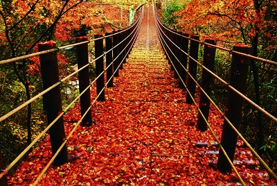 茨城県の紅葉 見頃 ライトアップ情報など 紅葉名所 ウォーカープラス