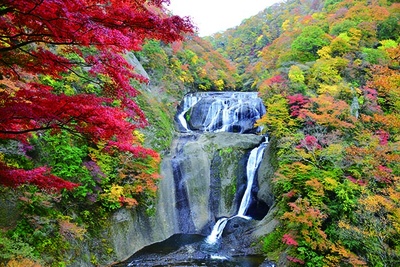 茨城県の紅葉 見頃 ライトアップ情報など 紅葉名所 ウォーカープラス