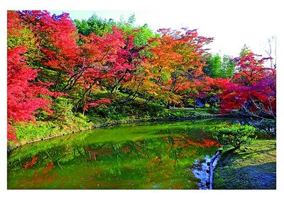 高台寺(京都市東山区)