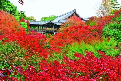 東福寺(京都市東山区)