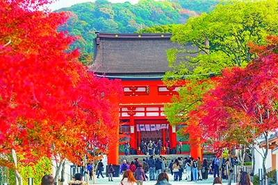 伏見稲荷大社(京都市伏見区)