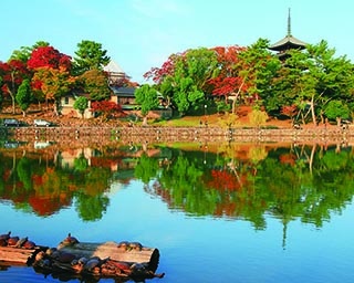 奈良・興福寺の絶景紅葉スポット！国宝建築物が紅葉で華やかな姿に