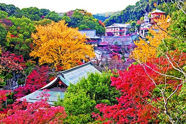 由緒ある寺院でライトアップを堪能