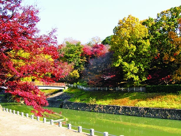 奈良県のおすすめ紅葉スポット8選 紅葉が彩る歴史ある寺社を鑑賞しよう 紅葉名所 ウォーカープラス