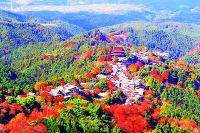 奈良県の 例年11月上旬が見頃 の紅葉スポット 紅葉名所 ウォーカープラス