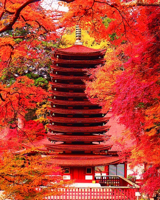 「関西の日光」と称される神社