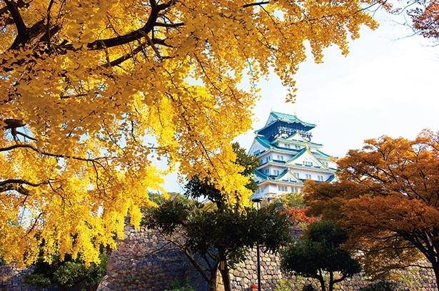 大阪城公園の絶景紅葉スポット 大阪屈指の名所で秋景色を楽しもう 紅葉名所 ウォーカープラス
