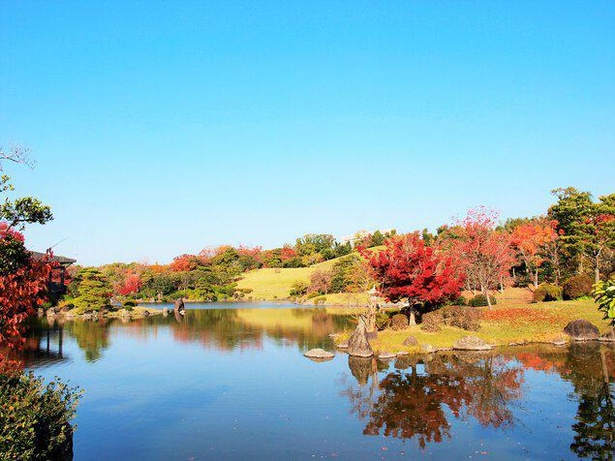 鮮やかに色づく紅葉と太陽の塔のコラボレーションも楽しめる／万博記念公園