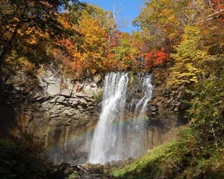 初めての人も参加してみよう！北海道札幌市で「ノルディックウォーキング講習会」開催