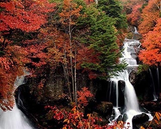 色鮮やかに染まる滝を臨む絶景スポット！栃木県日光市の竜頭ノ滝の紅葉が見ごろ