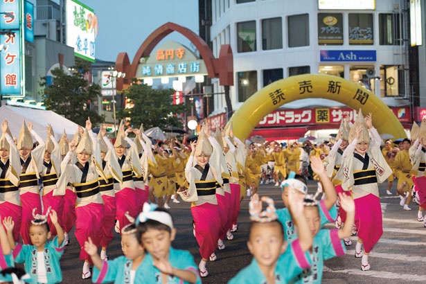 町おこしの一環として始まったという「東京高円寺阿波おどり」