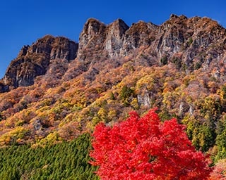 東京近郊で出会える奇跡の絶景紅葉！「妙義山」でダイナミックな紅葉を鑑賞