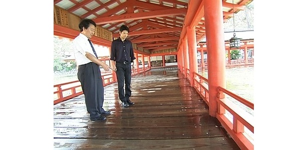 広島大学・三浦正幸教授に冠水した厳島神社の話を聞く