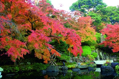 長谷寺(神奈川県鎌倉市)