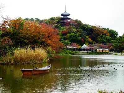 三渓園(神奈川県横浜市)