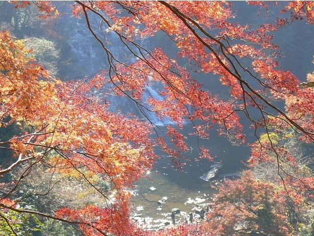 渓谷を紅葉が鮮やかに彩る