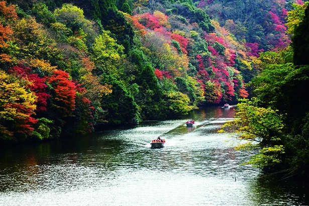 【写真】色鮮やかな木々に囲まれ、秋ならではの絶景クルージング