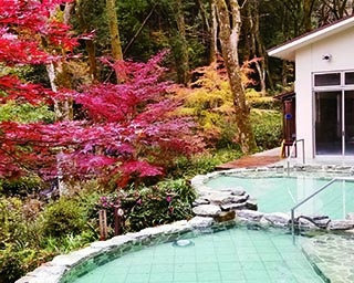 神奈川で紅葉が楽しめる温泉スポット3選！名湯と秋の風物詩を一度に堪能