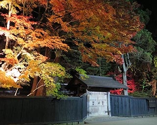 ライトに映し出される角館の魅力　秋田県仙北市角館町で「紅葉ライトアップ」実施中