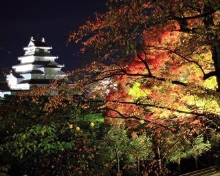 城と紅葉の幻想的な美しさ　福島県の鶴ヶ城公園で「鶴ヶ城紅葉ライトアップ」実施