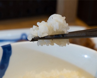 松屋の「新米フェア」を記念して勝手に「ご飯が進むおかずグランプリ」を選んでみた