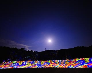 谷川岳天神平から眺める星空は格別　群馬県の谷川岳天神平で「天空のナイトクルージング」開催中
