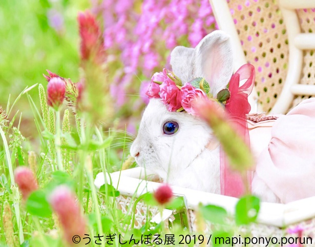 どこか上品さを感じる佇まい