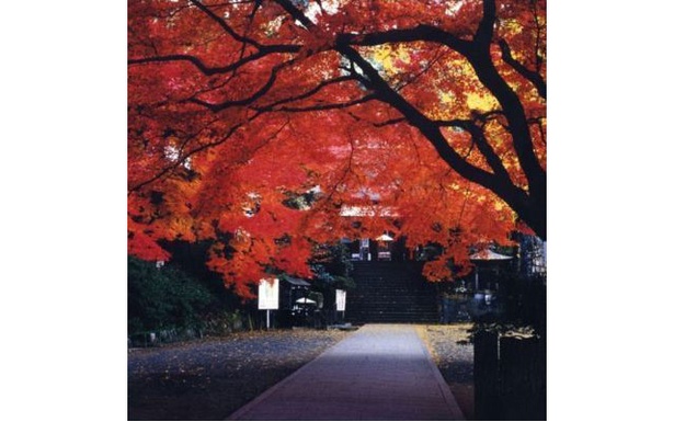 大興善寺 / 深まる秋の空気を肌で感じる紅葉名所 画像提供:基山町観光協会