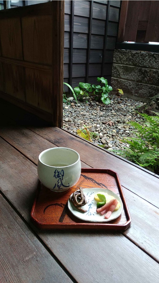 お茶フェスティバルで新潟の美味しいお茶を体験してみよう