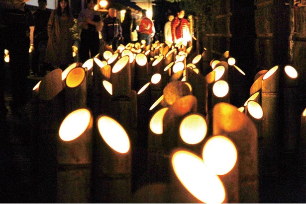 【写真を見る】約2万本の竹ぼんぼりが城下町を照らす様子は圧巻！「第23回 うすき竹宵」