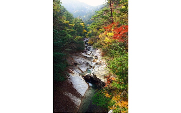 大自然のアートと紅葉のコントラスト / 藤河内渓谷