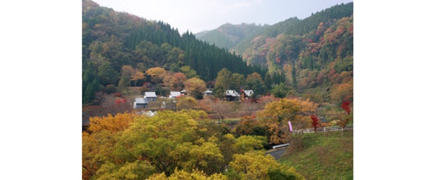 ダイナミックな渓谷と鮮やかな紅葉がマッチ / 陽目渓谷