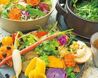 体の中からキレイに！ランチで野菜がしっかりとれる梅田の自然派ヘルシーカフェ3選