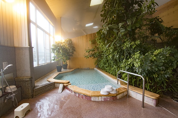 広い浴室に熱帯植物が生い茂る、名物「ジャングル風呂」。肌がツルツルになるといわれる柿野温泉の湯が満ちる
