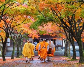 今週末の予定はコレで決まり！週末イベント5選・福岡県編[2019年10月25日(金)～27日(日)]
