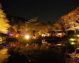 夜の美術館を散策できる「ザ・ナイトミュージアム」が兵庫県神戸市で開催