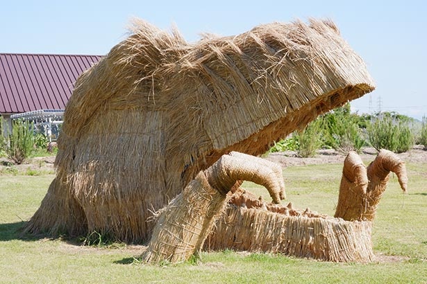 今年もわらの恐竜たちに会いに行こう 宮城県仙台市で 19せんだいわらアート 開催中 ウォーカープラス