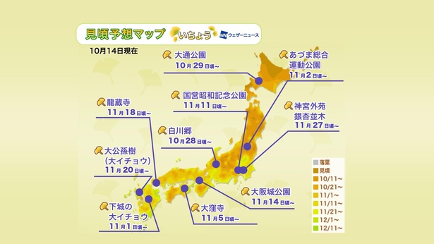【画像】イチョウ版の全国見頃予想マップも公開!今年の見頃時期は…?