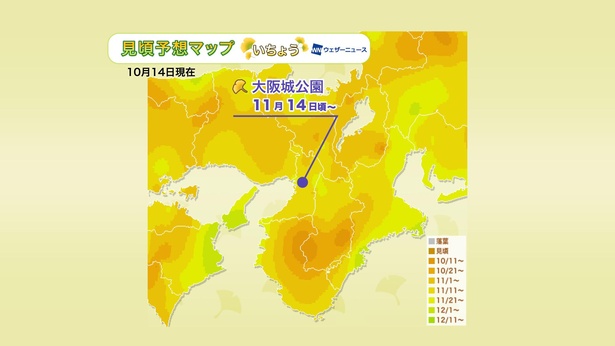 2020年 近畿地方の紅葉(イチョウ)見頃予想マップ(10月14日現在)