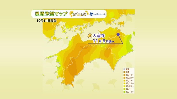 2020年 四国地方の紅葉(イチョウ)見頃予想マップ(10月14日現在)