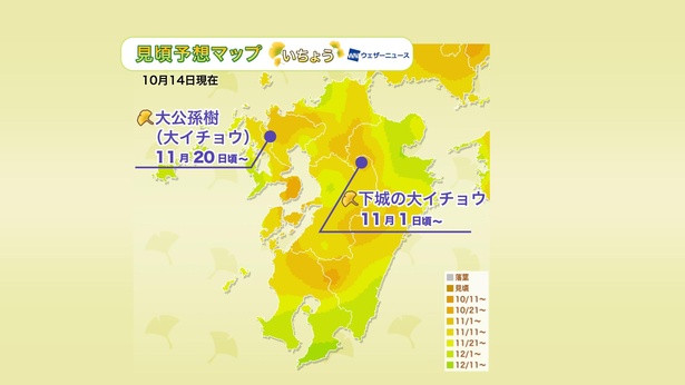 2020年 九州地方の紅葉(イチョウ)見頃予想マップ(10月14日現在)