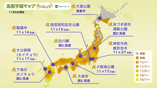 【画像】イチョウ版の全国見頃予想マップも公開!今年の見頃時期は…?