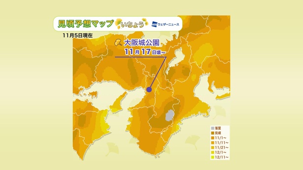 2020年 近畿地方の紅葉(イチョウ)見頃予想マップ(11月5日現在)