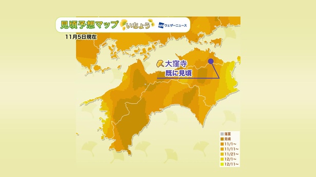 2020年 四国地方の紅葉(イチョウ)見頃予想マップ(11月5日現在)