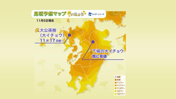 2020年 九州地方の紅葉(イチョウ)見頃予想マップ(11月5日現在)