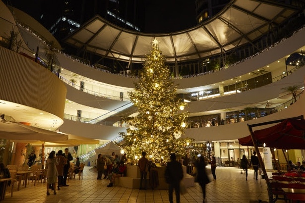 横浜ベイクォーターに設置されるクリスマスツリー(写真は昨年の様子)