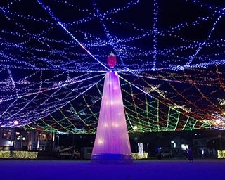 100万個の光で街全体が輝く「周南冬のツリーまつり」が山口県の周南市御幸通り一帯で開催