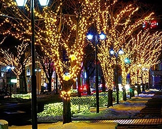 誰もが楽しめる美しいイルミ！福島県伊達市で「陣屋通りイルミネーション」開催