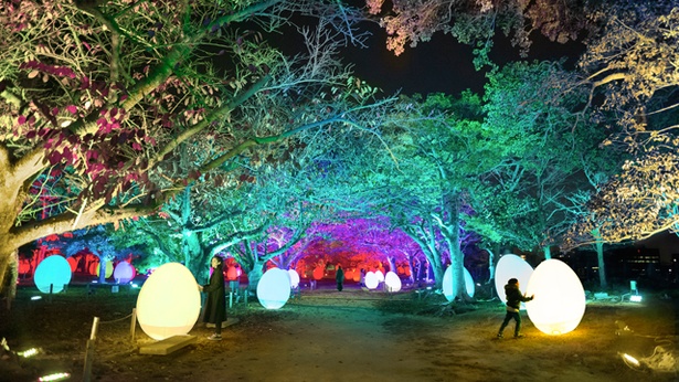 チームラボ福岡城跡光の祭2019-2020 / 新たな4作品を含む、計7作品を展示